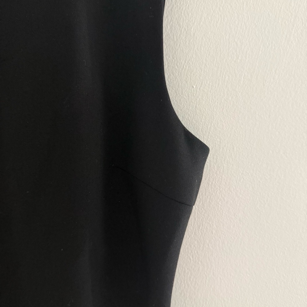 Elizabeth and James Size 6 Black Sleeveless Feather-Hem Mini Dress - Picture 4 of 7